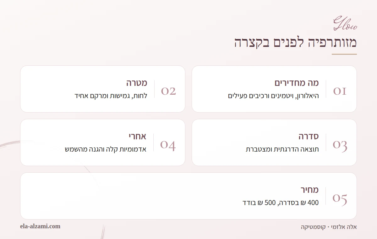 אינפוגרפיקה המסכמת מזותרפיה לפנים: החדרת היאלורון, ויטמינים ורכיבים פעילים, מטרת הטיפול ללחות וגמישות, סדרה הדרגתית, טיפול לאחר הטיפול ומחיר 400 ₪ בסדרה או 500 ₪ בודד.