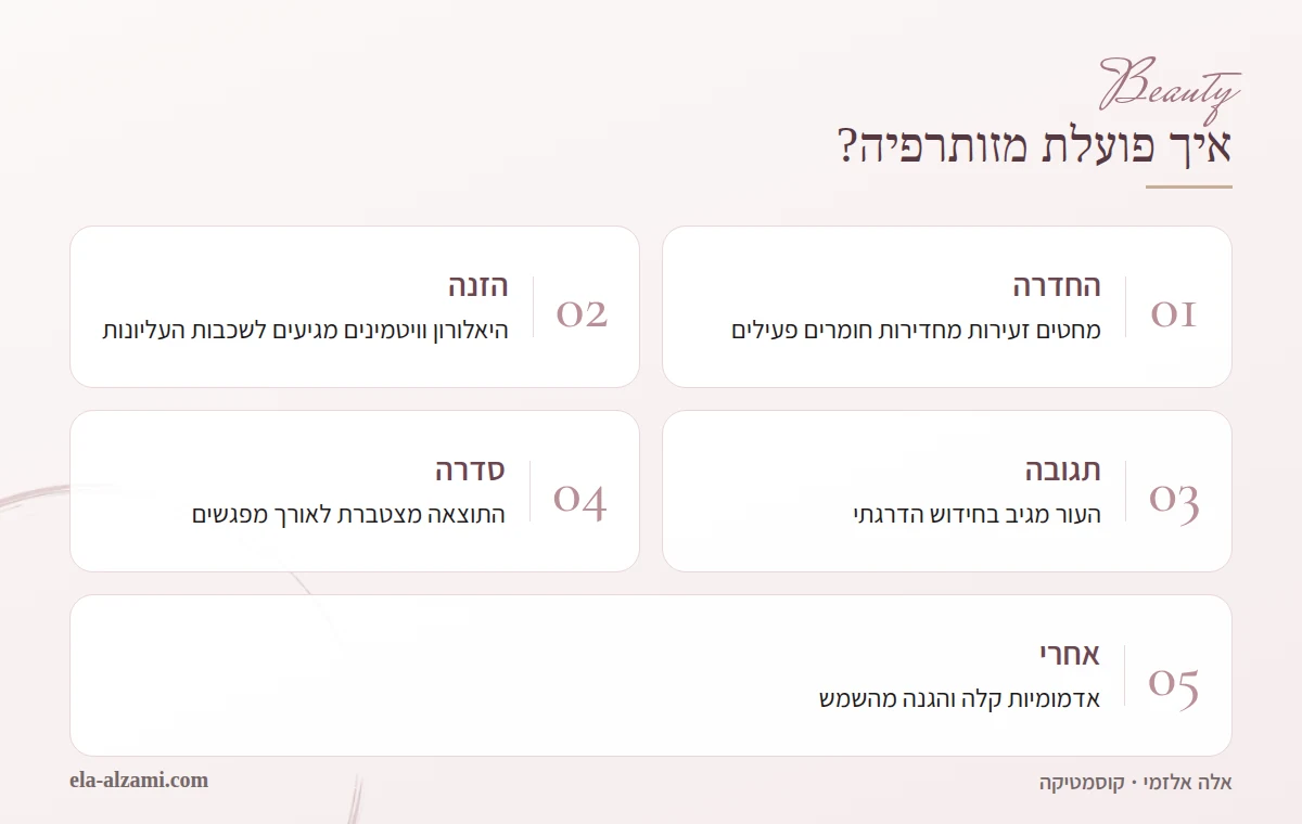 אינפוגרפיקה שמסבירה איך פועלת מזותרפיה: החדרת חומרים פעילים במחטים זעירות, הזנה של השכבות העליונות, תגובת חידוש של העור, תוצאה מצטברת בסדרת מפגשים והוראות לאחר הטיפול.